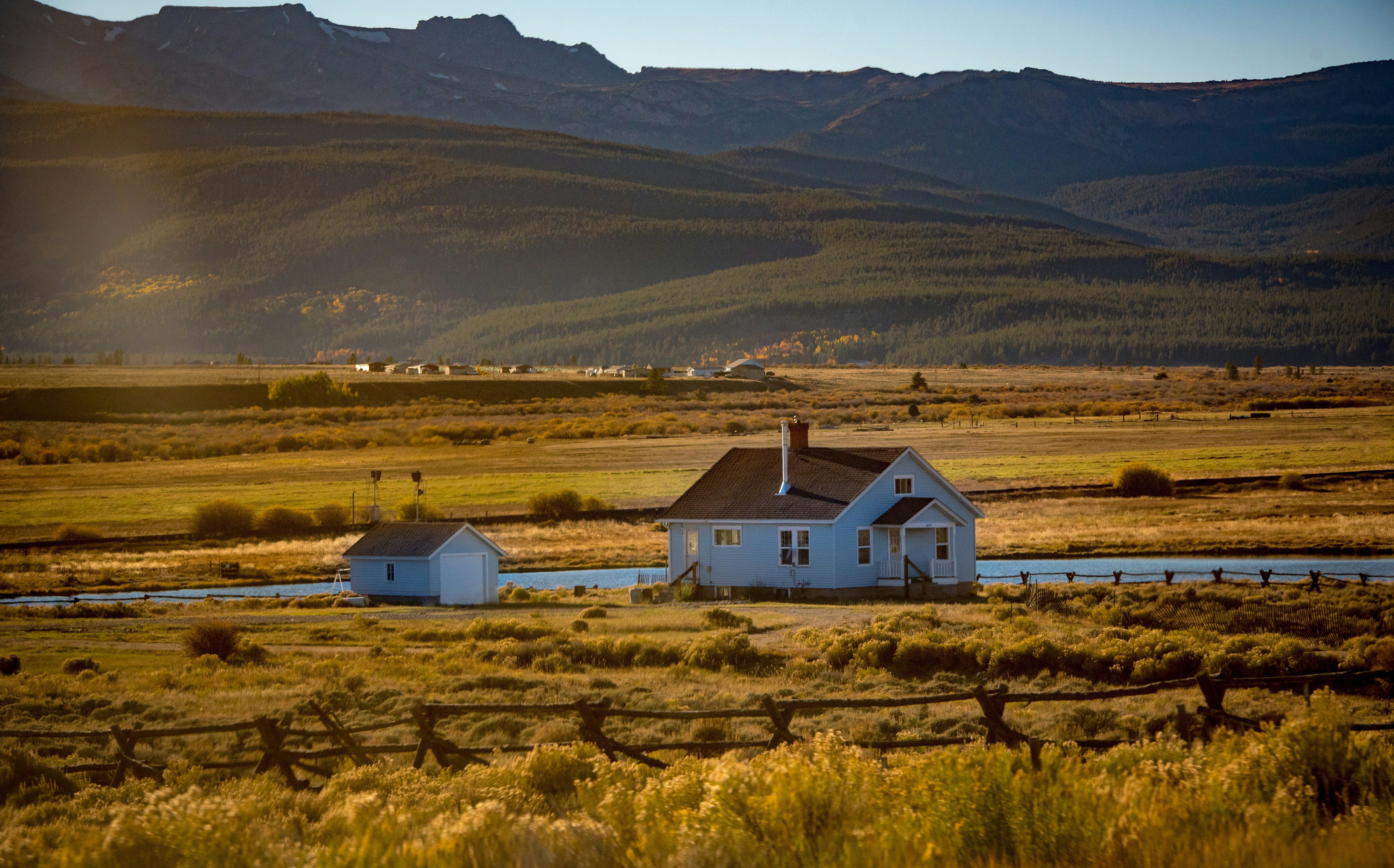 The Toxin Free Homestead